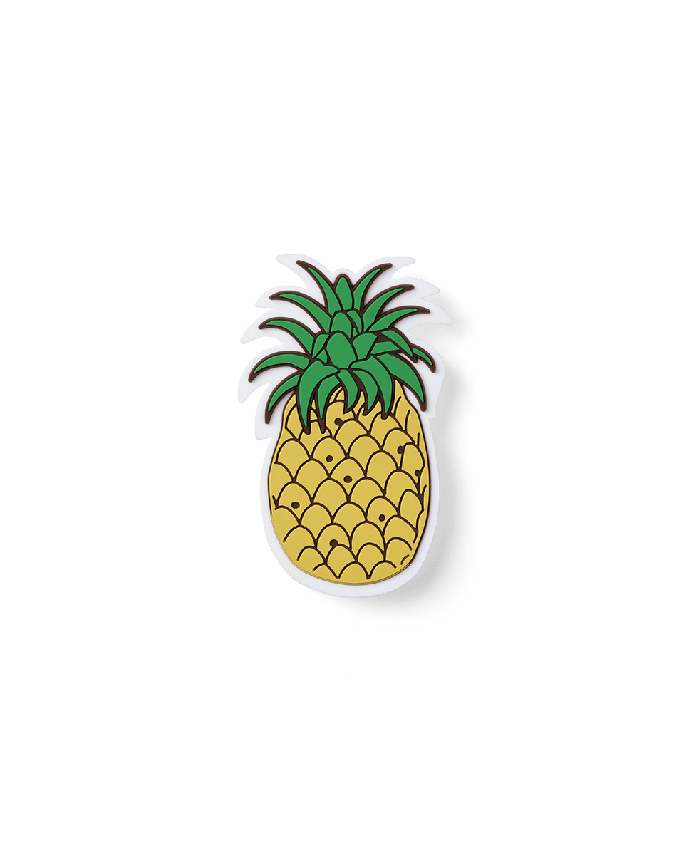 Bogg Bit - Pineapple View 1