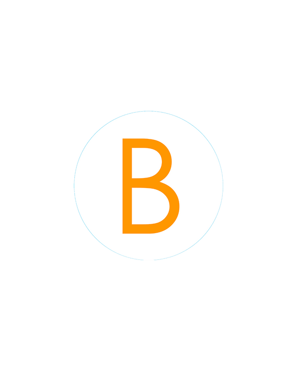 Bogg Bit - Initial "B"