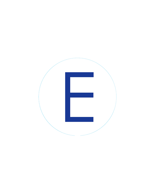 Bogg Bit - Initial "E"
