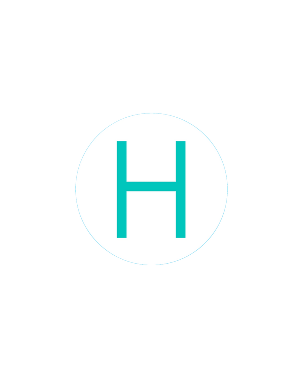 Bogg Bit - Initial "H"