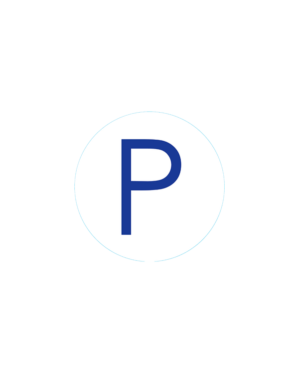 Bogg Bit - Initial "P"