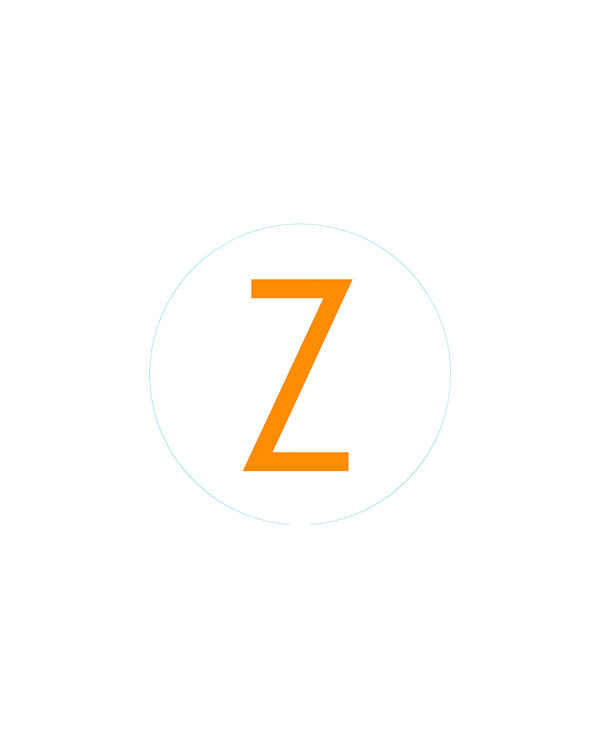 Bogg Bit - Initial "Z"