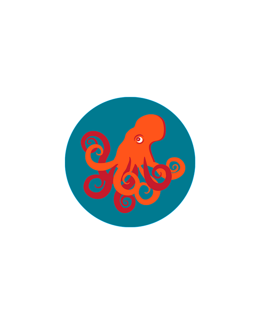 Bogg® Bit  - Octopus. 01
