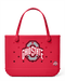 Ohio State Buckeye