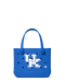 Kentucky Wildcats