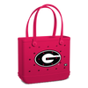 Georgia Bulldogs