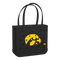 Iowa Hawkeyes