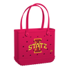 Iowa State Cyclones