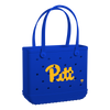 Pittsburgh Panthers