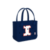 Illinois Fighting Illini