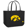 Iowa Hawkeyes