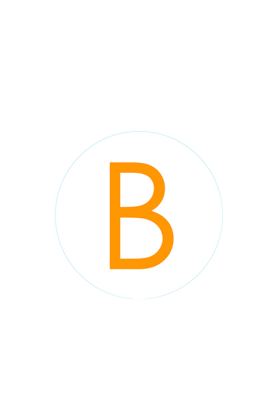 Bogg Bit - Initial "B" View 1
