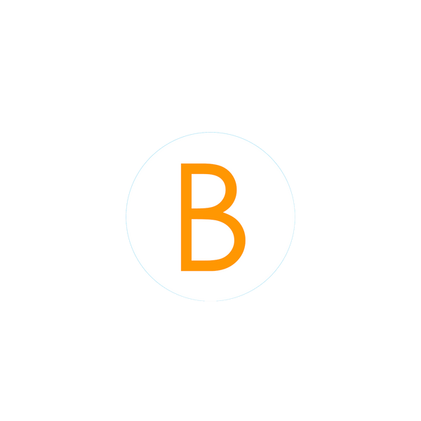 Bogg Bit - Initial "B"