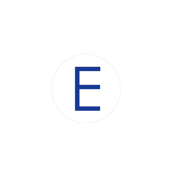 Bogg Bit - Initial "E"