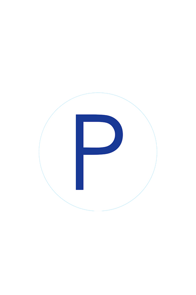 Bogg Bit - Initial "P" View 1
