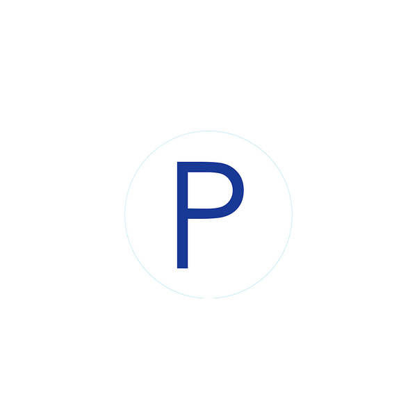 Bogg Bit - Initial "P"