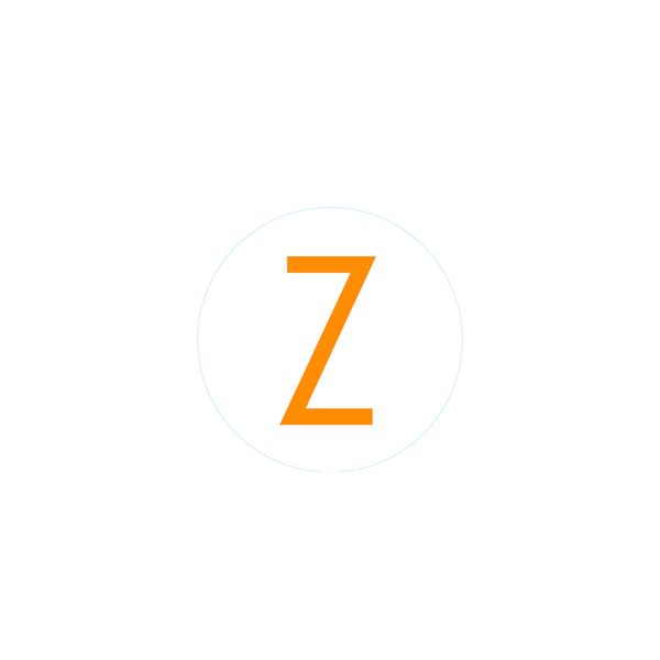 Bogg Bit - Initial "Z"