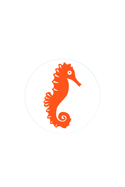 Bogg Bit - Seahorse View 1
