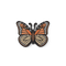 Sun Beam Butterfly