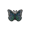 Star Light Butterfly
