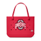 Ohio State Buckeye