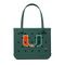 Miami Hurricanes