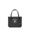 Las Vegas Raiders