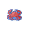Coastal Crab