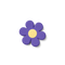 Lilac Daisy