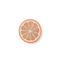 Orange Slice