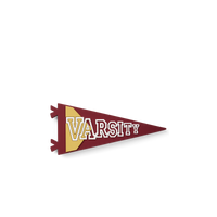 Bogg Bit - Varsity Flag